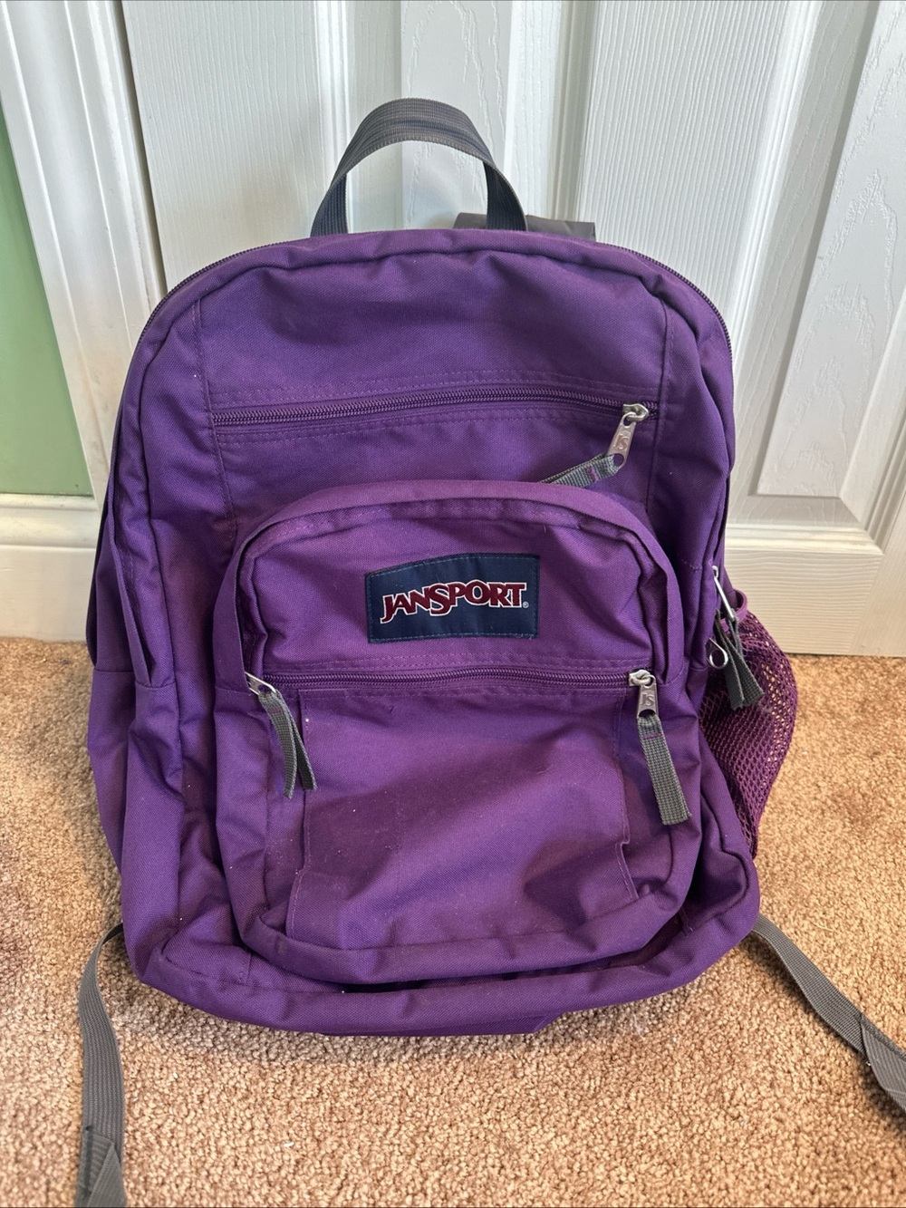 Jansport Purple Daypack with Front Logo Patch